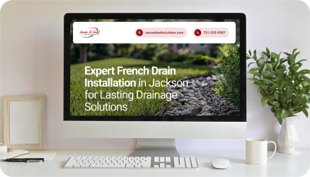 Lawn and Leaf Solutions