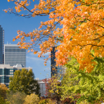 Top Skills Required for Marketing Careers in Charlotte, NC